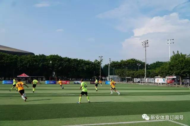 美国女篮夺第5冠 斯图尔特成为历史首位双MVP